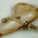 Untitled 1995 Pic 7
