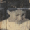 Untitled 1996 Pic 5