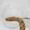 The Lovers II � glass  & rope