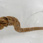 The Lovers II � glass  & rope