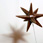 Twilight's star � casts bronze & wires