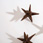 Twilight's star � casts bronze & wires