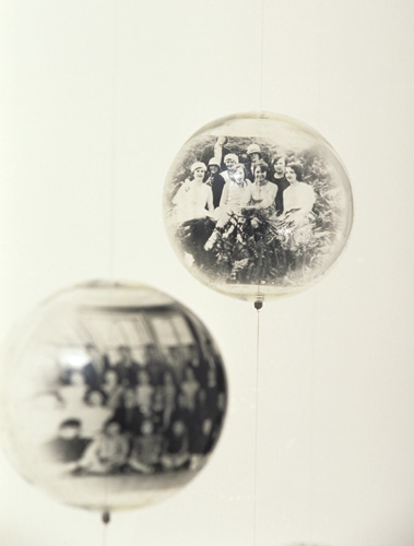 In Vivo � In Vitro, 1988