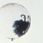 In Vivo � In Vitro, 1988 Pic 11